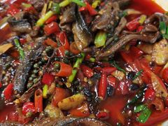 鳝鱼-洪霞餐馆