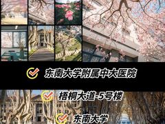 -东南大学(九龙湖校区)