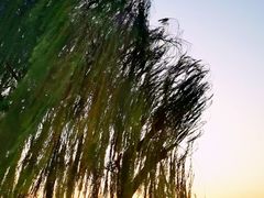-巴陵广场