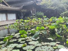 -乾园.魏庐湖景餐厅(花港店)