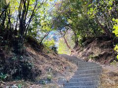 -苍山感通索道