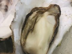 -千岛蚝高压锅生蚝·人参火锅(白云万达店)