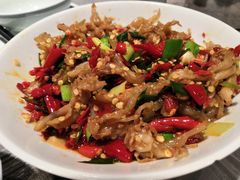 鸭掌筋-壹盏灯(惠农店)