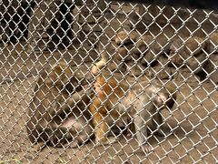 -长白岛森林公园