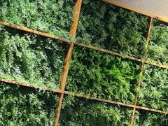 -林溪晚亭脆皮烤鱼(藁城店)