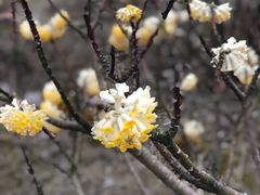 -上海滴水湖皇冠假日酒店