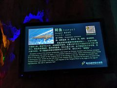 -泉城欧乐堡海洋极地世界
