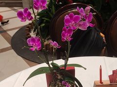 -金河半岛园林酒家(金融城店)