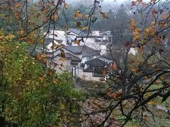 -塔川景区