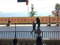 -东方熊牧场