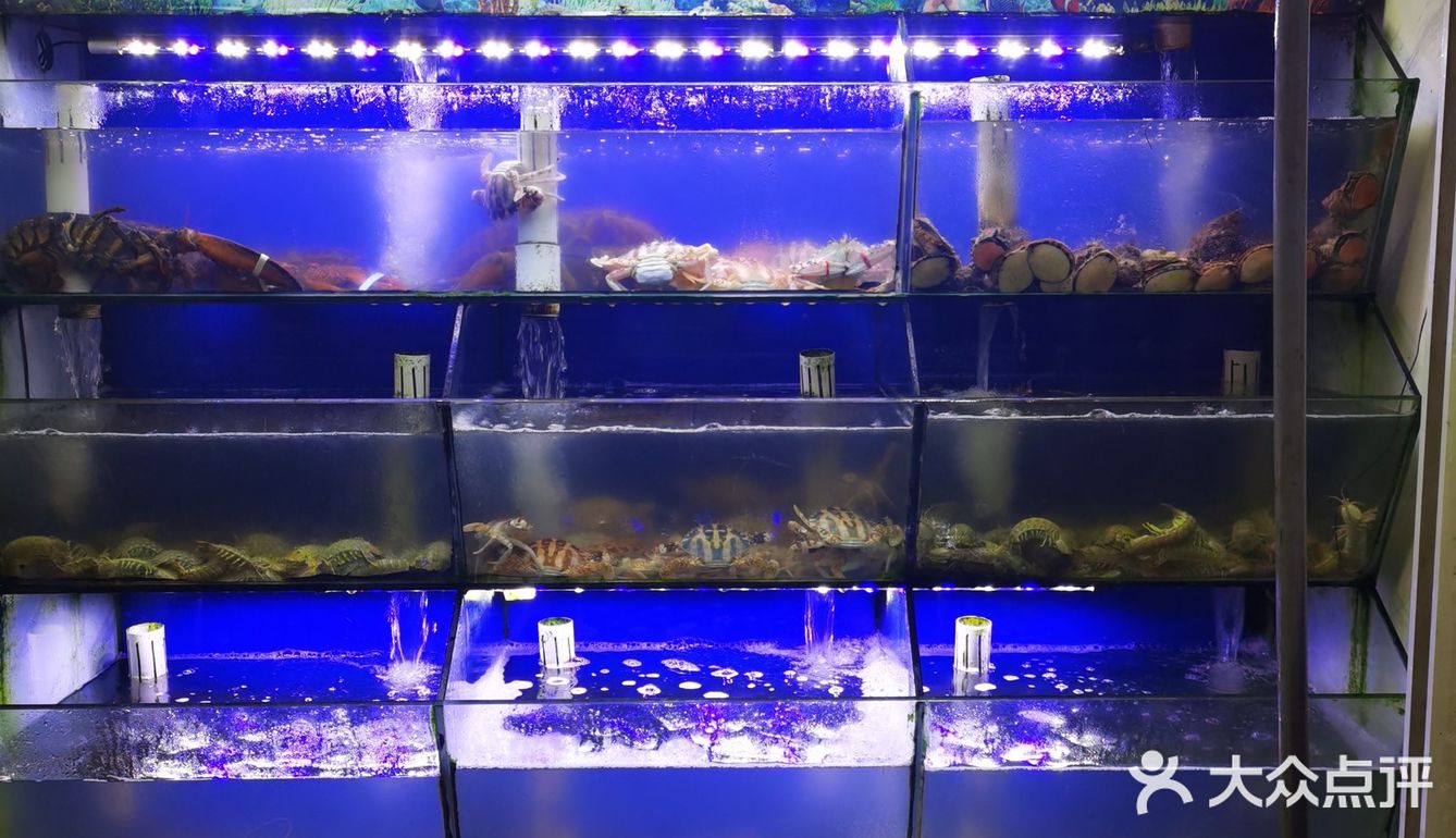 小树探店｜风动石景区附近海鲜排档，赢在新鲜