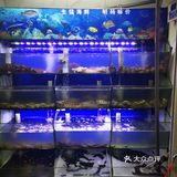 小树探店｜风动石景区附近海鲜排档，赢在新鲜