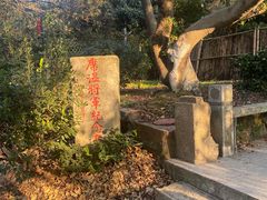 -雨花胜境