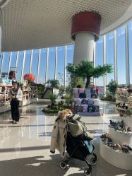 点击看大图 -IMON·HANSA潮玩玩偶毛绒玩具(通州万象汇店)