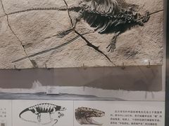-贵州省地质博物馆