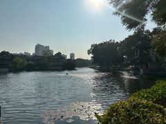 -荔湾湖公园