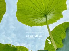 -嘉北郊野公园