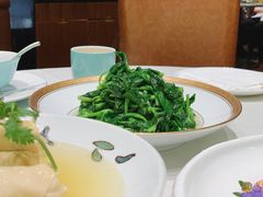 -蝶园·装修中(BFC外滩金融中心店)