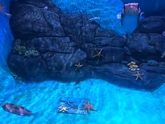-厦门海底世界