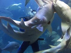 -左海海底世界