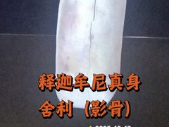 -法门文化景区