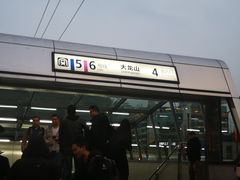 -大龙山(地铁站)