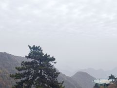-塔云山