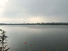-白洋淀景区
