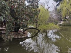 -西苑公园