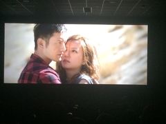 -大地影院(上海南汇店)