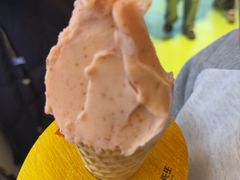 -野人先生现做冰淇淋(北京悠唐购物中心店)