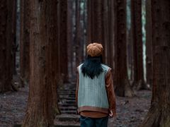 -武陵山森林公园