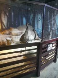 -酷嗒动物文化乐园(cutezoo西溪乐天城店)