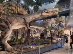 -湖南省地质博物馆