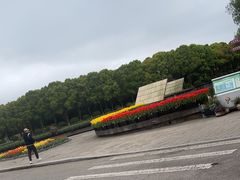 -上海鲜花港