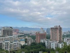 -福道