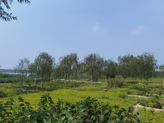 -西青郊野公园