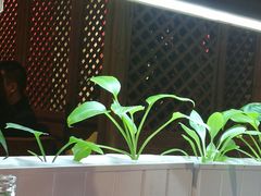 -望京一号·重庆江湖菜(工体店)