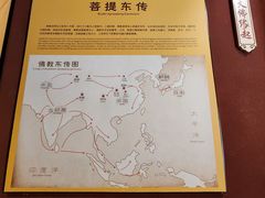 -乐山市博物馆