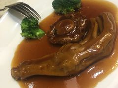 鲍鱼鹅掌-老地方