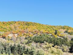 -塞罕坝国家级自然保护区