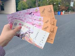 -自然谷恐龙园