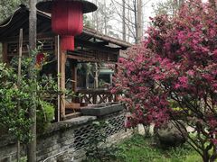 环境-青城甲(青城山店)