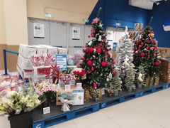-盒马X会员店(上海森兰商都店)