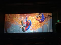 -奥斯卡升龙国际影城(RealD Cinema)