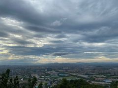 -杭州半山国家森林公园