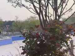 -泰山风景名胜区-虎山公园