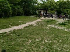 -新江湾城公园