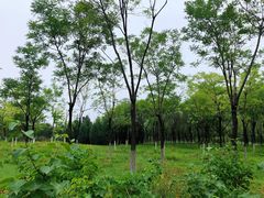 -永定河休闲森林公园