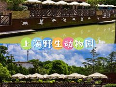 -上海野生动物园